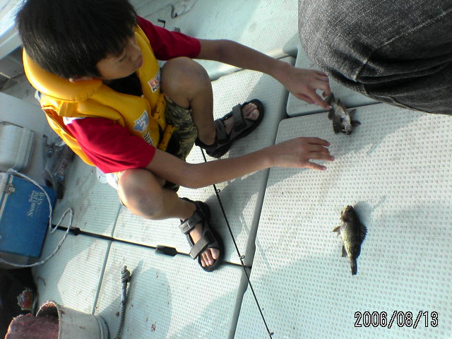 ���̉摜�̒��쌠��
Hiroshima Inline Hockey League(HIHL)�ɂ���܂��B�摜�f�[�^�̖��f�]�p�͌ł����f��\���グ�܂��B