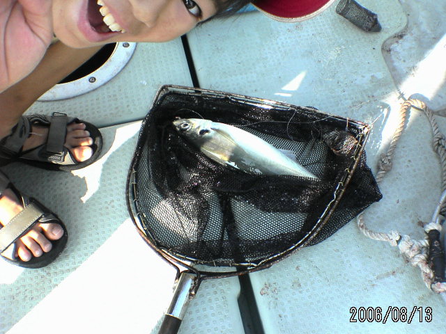 ���̉摜�̒��쌠��
Hiroshima Inline Hockey League(HIHL)�ɂ���܂��B�摜�f�[�^�̖��f�]�p�͌ł����f��\���グ�܂��B