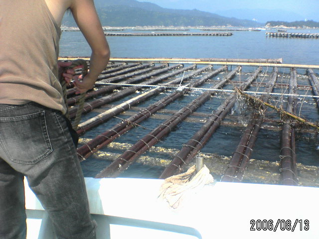 ���̉摜�̒��쌠��
Hiroshima Inline Hockey League(HIHL)�ɂ���܂��B�摜�f�[�^�̖��f�]�p�͌ł����f��\���グ�܂��B