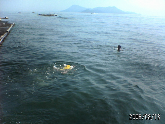 ���̉摜�̒��쌠��
Hiroshima Inline Hockey League(HIHL)�ɂ���܂��B�摜�f�[�^�̖��f�]�p�͌ł����f��\���グ�܂��B