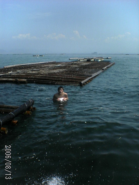 ���̉摜�̒��쌠��
Hiroshima Inline Hockey League(HIHL)�ɂ���܂��B�摜�f�[�^�̖��f�]�p�͌ł����f��\���グ�܂��B