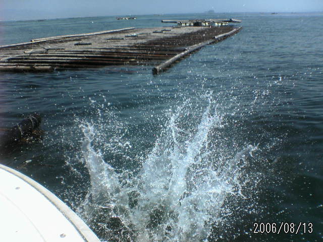 ���̉摜�̒��쌠��
Hiroshima Inline Hockey League(HIHL)�ɂ���܂��B�摜�f�[�^�̖��f�]�p�͌ł����f��\���グ�܂��B