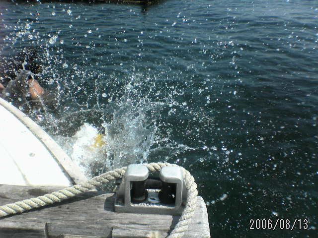 ���̉摜�̒��쌠��
Hiroshima Inline Hockey League(HIHL)�ɂ���܂��B�摜�f�[�^�̖��f�]�p�͌ł����f��\���グ�܂��B