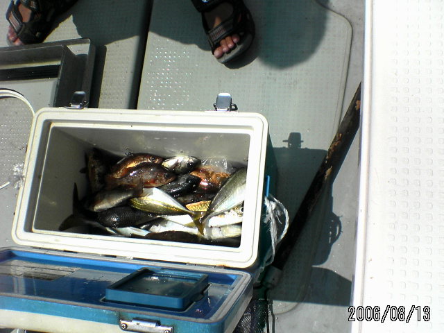 ���̉摜�̒��쌠��
Hiroshima Inline Hockey League(HIHL)�ɂ���܂��B�摜�f�[�^�̖��f�]�p�͌ł����f��\���グ�܂��B