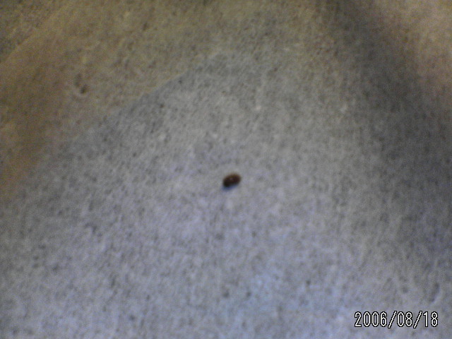 ���̉摜�̒��쌠��
Hiroshima Inline Hockey League(HIHL)�ɂ���܂��B�摜�f�[�^�̖��f�]�p�͌ł����f��\���グ�܂��B