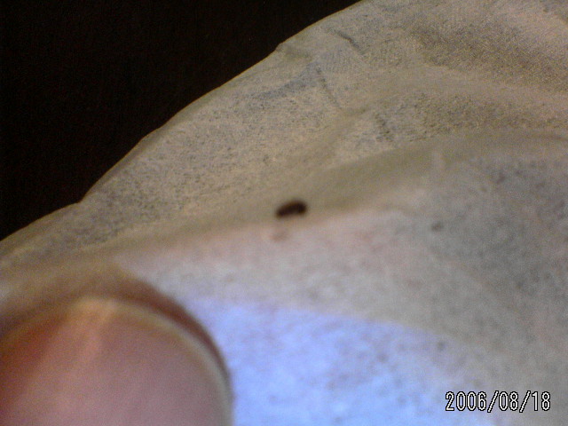 ���̉摜�̒��쌠��
Hiroshima Inline Hockey League(HIHL)�ɂ���܂��B�摜�f�[�^�̖��f�]�p�͌ł����f��\���グ�܂��B