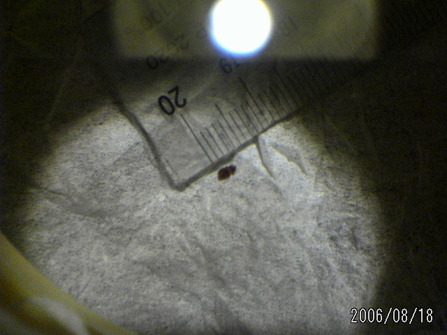 ���̉摜�̒��쌠��
Hiroshima Inline Hockey League(HIHL)�ɂ���܂��B�摜�f�[�^�̖��f�]�p�͌ł����f��\���グ�܂��B