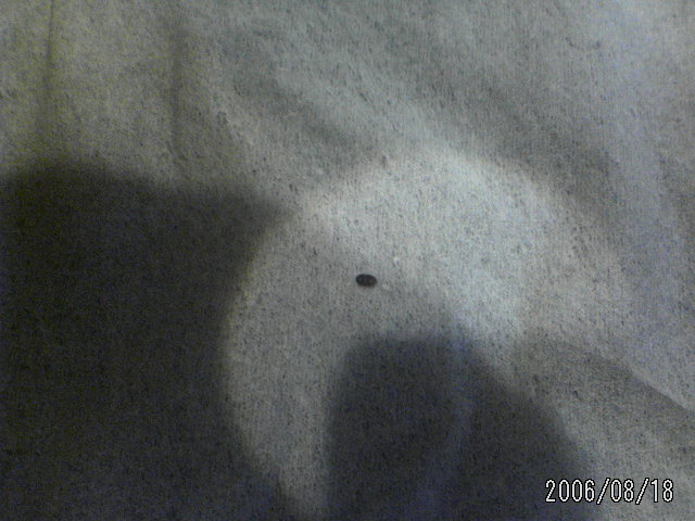 ���̉摜�̒��쌠��
Hiroshima Inline Hockey League(HIHL)�ɂ���܂��B�摜�f�[�^�̖��f�]�p�͌ł����f��\���グ�܂��B