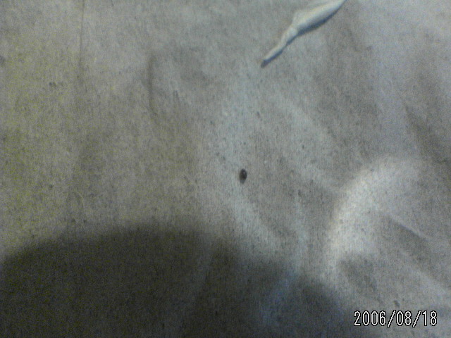 ���̉摜�̒��쌠��
Hiroshima Inline Hockey League(HIHL)�ɂ���܂��B�摜�f�[�^�̖��f�]�p�͌ł����f��\���グ�܂��B