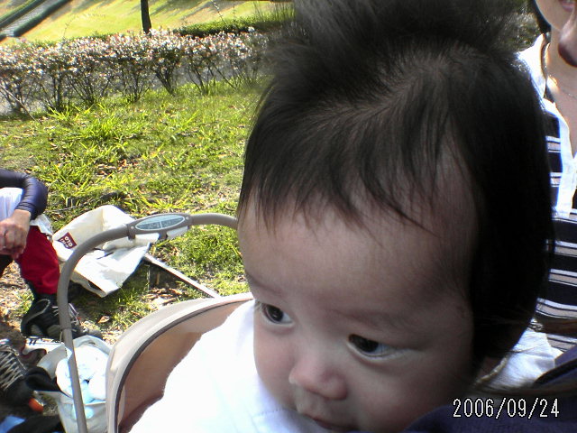 ���̉摜�̒��쌠��
Hiroshima Inline Hockey League(HIHL)�ɂ���܂��B�摜�f�[�^�̖��f�]�p�͌ł����f��\���グ�܂��B