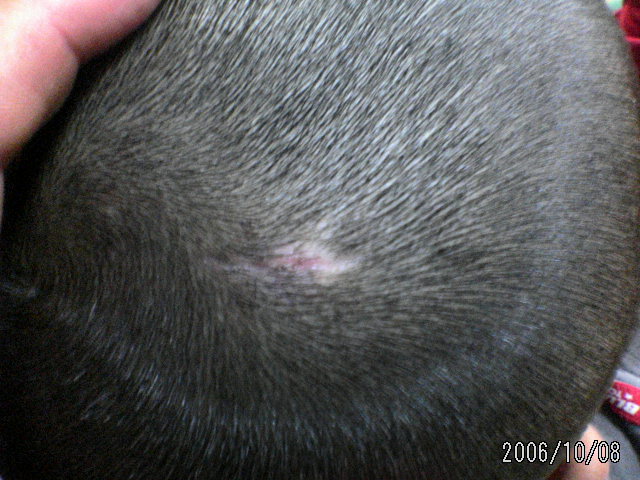 ���̉摜�̒��쌠��
Hiroshima Inline Hockey League(HIHL)�ɂ���܂��B�摜�f�[�^�̖��f�]�p�͌ł����f��\���グ�܂��B