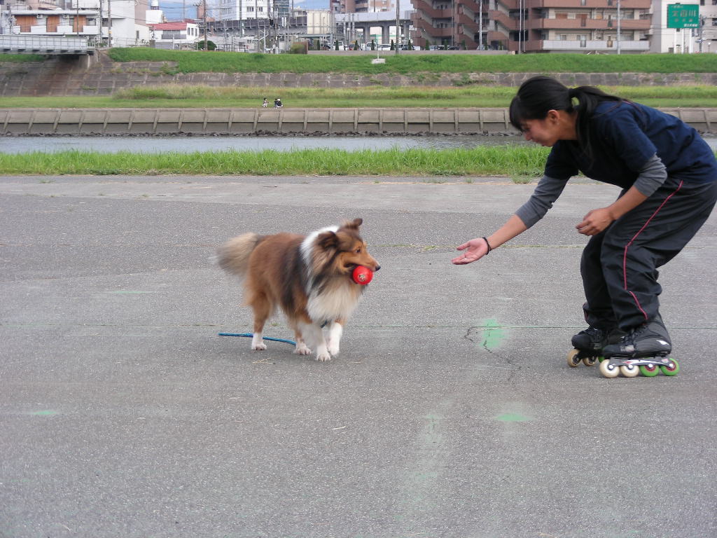 ���̉摜�̒��쌠��
Hiroshima Inline Hockey League(HIHL)�ɂ���܂��B�摜�f�[�^�̖��f�]�p�͌ł����f��\���グ�܂��B