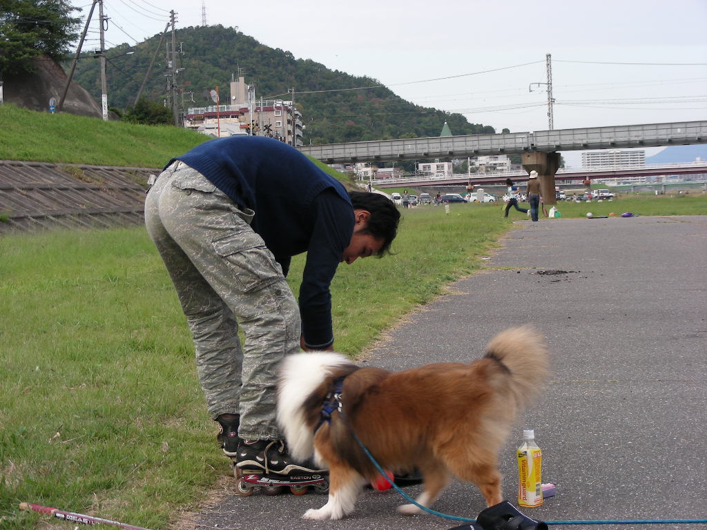 ���̉摜�̒��쌠��
Hiroshima Inline Hockey League(HIHL)�ɂ���܂��B�摜�f�[�^�̖��f�]�p�͌ł����f��\���グ�܂��B