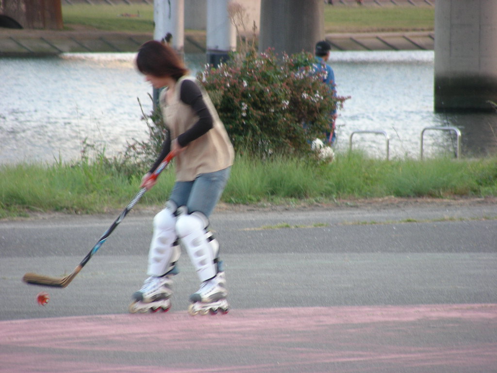 ���̉摜�̒��쌠��
Hiroshima Inline Hockey League(HIHL)�ɂ���܂��B�摜�f�[�^�̖��f�]�p�͌ł����f��\���グ�܂��B