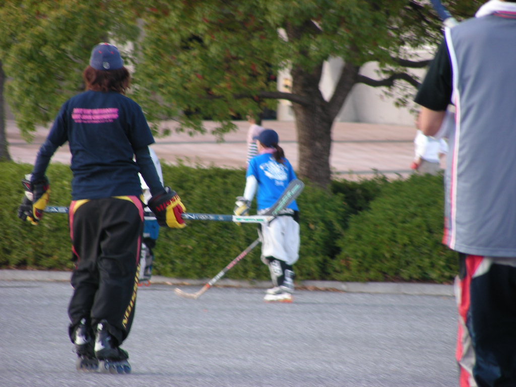 ���̉摜�̒��쌠��
Hiroshima Inline Hockey League(HIHL)�ɂ���܂��B�摜�f�[�^�̖��f�]�p�͌ł����f��\���グ�܂��B