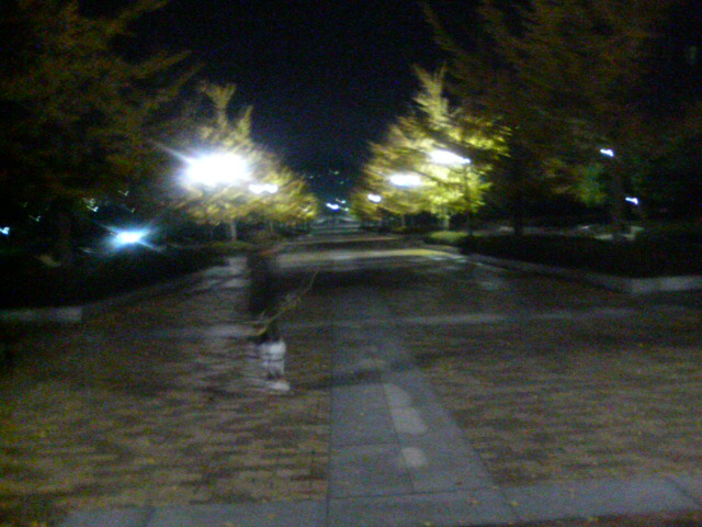 ���̉摜�̒��쌠��
Hiroshima Inline Hockey League(HIHL)�ɂ���܂��B�摜�f�[�^�̖��f�]�p�͌ł����f��\���グ�܂��B