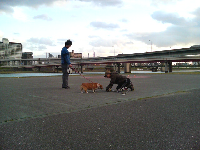 ���̉摜�̒��쌠��
Hiroshima Inline Hockey League(HIHL)�ɂ���܂��B�摜�f�[�^�̖��f�]�p�͌ł����f��\���グ�܂��B