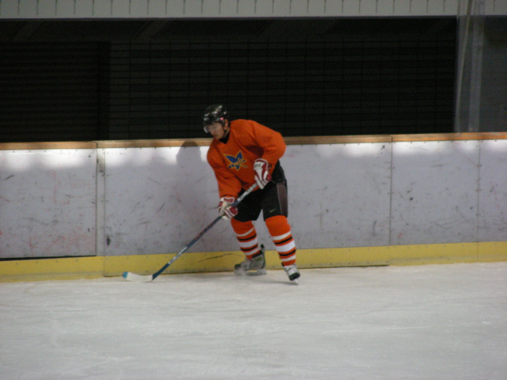 ���̉摜�̒��쌠��
Hiroshima Inline Hockey League(HIHL)�ɂ���܂��B�摜�f�[�^�̖��f�]�p�͌ł����f��\���グ�܂��B