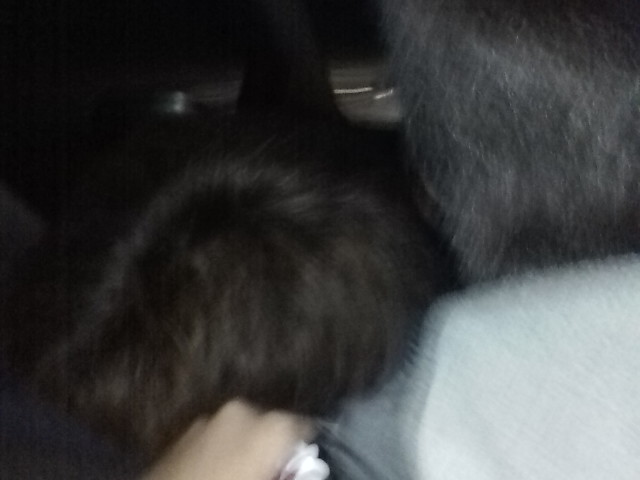 ���̉摜�̒��쌠��
Hiroshima Inline Hockey League(HIHL)�ɂ���܂��B�摜�f�[�^�̖��f�]�p�͌ł����f��\���グ�܂��B