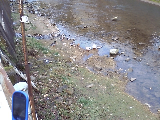 ���̉摜�̒��쌠��
Hiroshima Inline Hockey League(HIHL)�ɂ���܂��B�摜�f�[�^�̖��f�]�p�͌ł����f��\���グ�܂��B