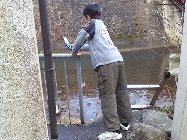 ���̉摜�̒��쌠��
Hiroshima Inline Hockey League(HIHL)�ɂ���܂��B�摜�f�[�^�̖��f�]�p�͌ł����f��\���グ�܂��B