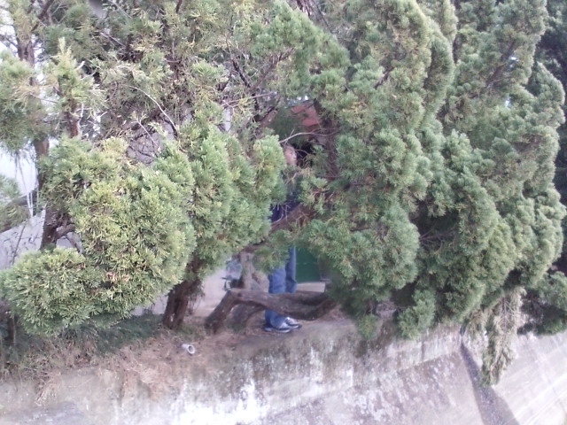 ���̉摜�̒��쌠��
Hiroshima Inline Hockey League(HIHL)�ɂ���܂��B�摜�f�[�^�̖��f�]�p�͌ł����f��\���グ�܂��B