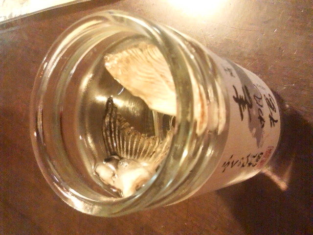 ���̉摜�̒��쌠��
Hiroshima Inline Hockey League(HIHL)�ɂ���܂��B�摜�f�[�^�̖��f�]�p�͌ł����f��\���グ�܂��B