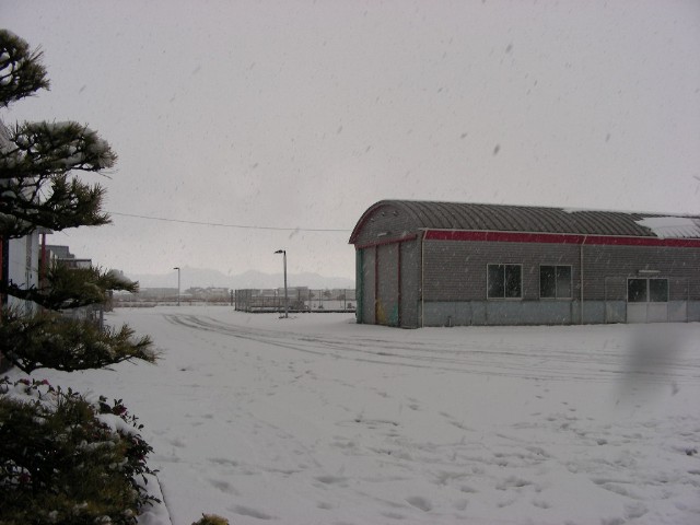 ���̉摜�̒��쌠��
Hiroshima Inline Hockey League(HIHL)�ɂ���܂��B�摜�f�[�^�̖��f�]�p�͌ł����f��\���グ�܂��B