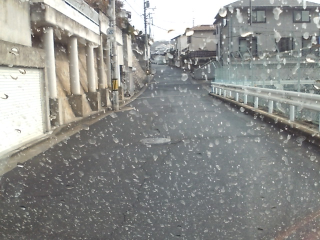 ���̉摜�̒��쌠��
Hiroshima Inline Hockey League(HIHL)�ɂ���܂��B�摜�f�[�^�̖��f�]�p�͌ł����f��\���グ�܂��B