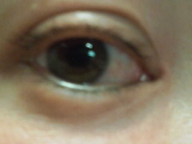 ���̉摜�̒��쌠��
Hiroshima Inline Hockey League(HIHL)�ɂ���܂��B�摜�f�[�^�̖��f�]�p�͌ł����f��\���グ�܂��B