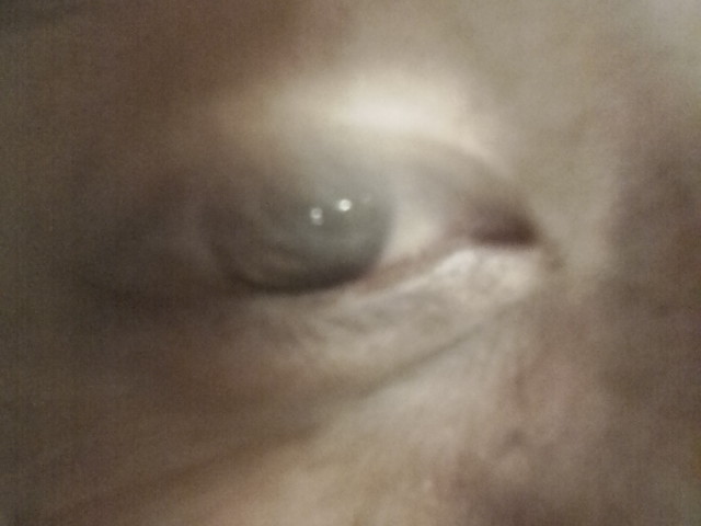 ���̉摜�̒��쌠��
Hiroshima Inline Hockey League(HIHL)�ɂ���܂��B�摜�f�[�^�̖��f�]�p�͌ł����f��\���グ�܂��B