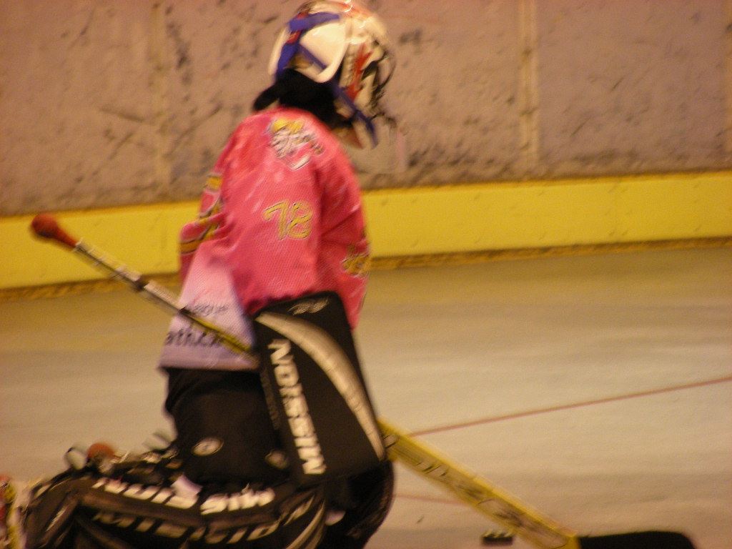 ���̉摜�̒��쌠��
Hiroshima Inline Hockey League(HIHL)�ɂ���܂��B�摜�f�[�^�̖��f�]�p�͌ł����f��\���グ�܂��B