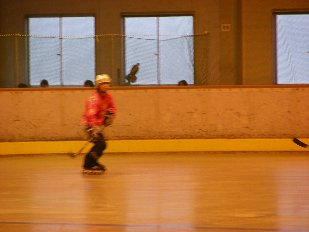 ���̉摜�̒��쌠��
Hiroshima Inline Hockey League(HIHL)�ɂ���܂��B�摜�f�[�^�̖��f�]�p�͌ł����f��\���グ�܂��B