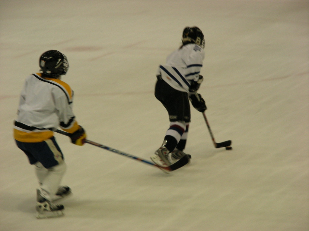 ���̉摜�̒��쌠��
Hiroshima Inline Hockey League(HIHL)�ɂ���܂��B�摜�f�[�^�̖��f�]�p�͌ł����f��\���グ�܂��B