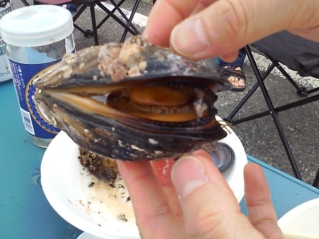 ���̉摜�̒��쌠��
Hiroshima Inline Hockey League(HIHL)�ɂ���܂��B�摜�f�[�^�̖��f�]�p�͌ł����f��\���グ�܂��B