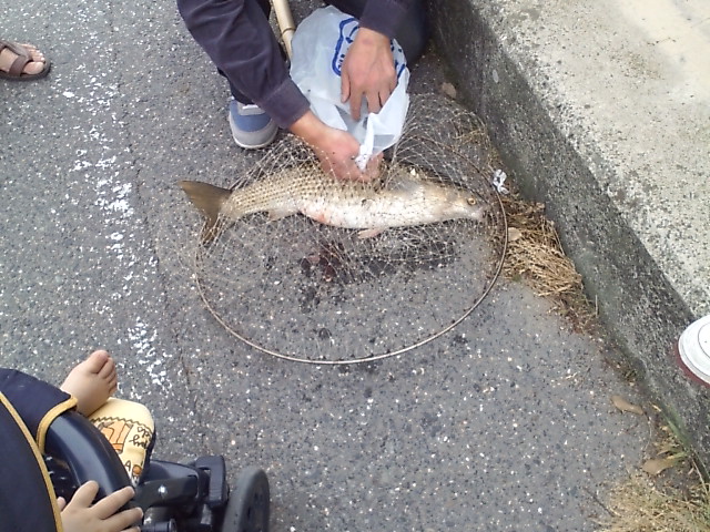 ���̉摜�̒��쌠��
Hiroshima Inline Hockey League(HIHL)�ɂ���܂��B�摜�f�[�^�̖��f�]�p�͌ł����f��\���グ�܂��B