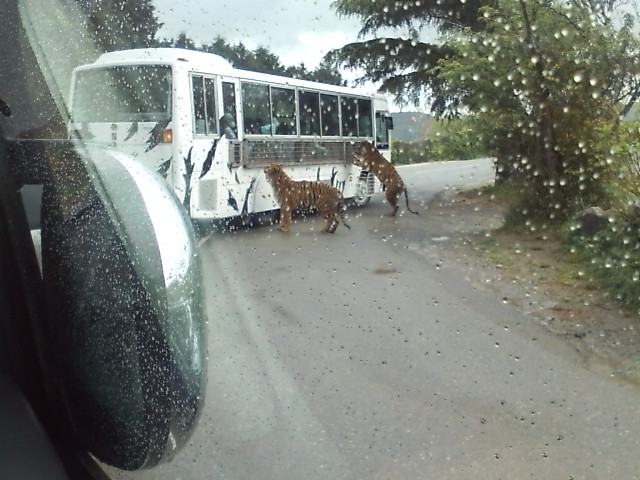 ���̉摜�̒��쌠��
Hiroshima Inline Hockey League(HIHL)�ɂ���܂��B�摜�f�[�^�̖��f�]�p�͌ł����f��\���グ�܂��B