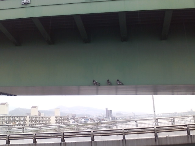 ���̉摜�̒��쌠��
Hiroshima Inline Hockey League(HIHL)�ɂ���܂��B�摜�f�[�^�̖��f�]�p�͌ł����f��\���グ�܂��B