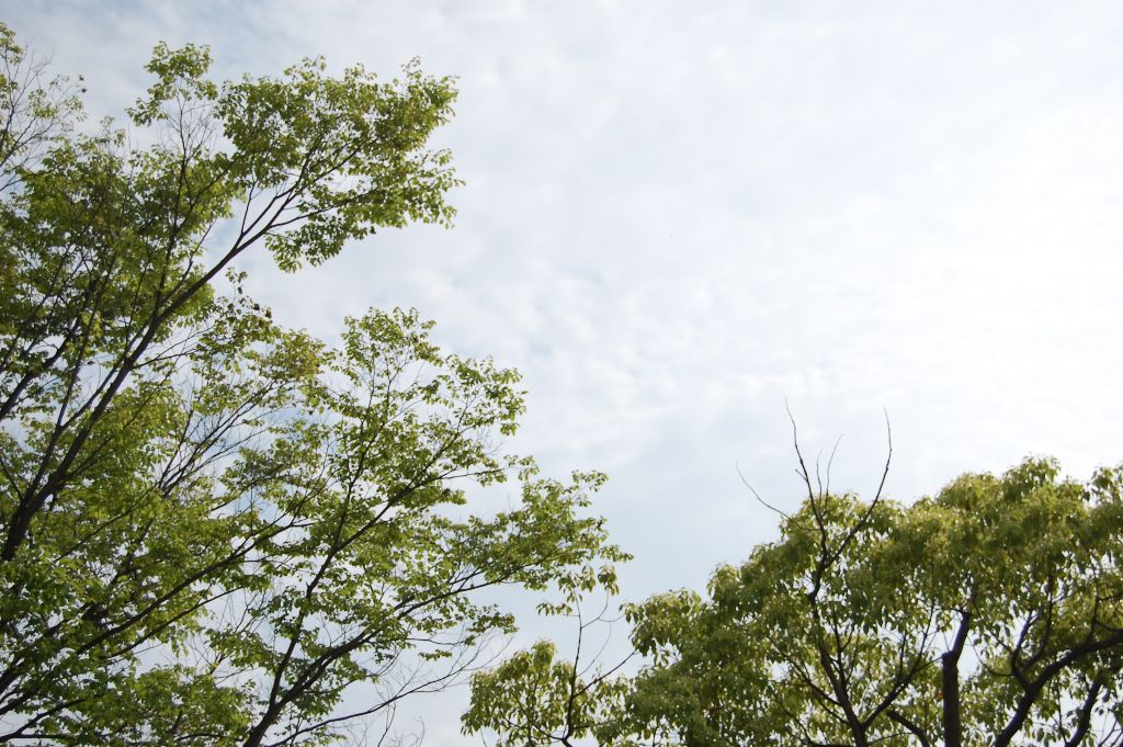 ���̉摜�̒��쌠��
Hiroshima Inline Hockey League(HIHL)�ɂ���܂��B�摜�f�[�^�̖��f�]�p�͌ł����f��\���グ�܂��B