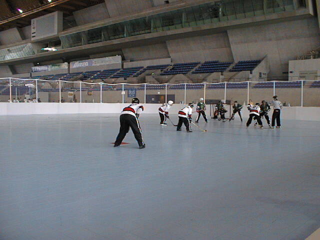 PIC00013.JPG (54756 oCg)