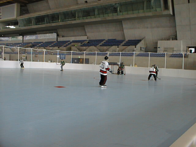 PIC00014.JPG (49136 oCg)