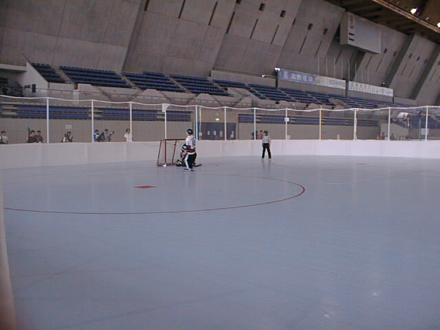 PIC00016.JPG (52940 oCg)